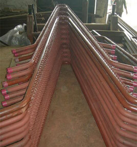 Bed Coil